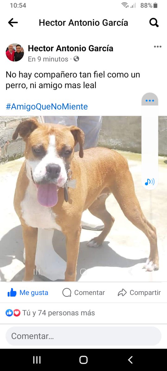 Anamariaalmedaolivares (@anamariaalmeda2) on Twitter photo 