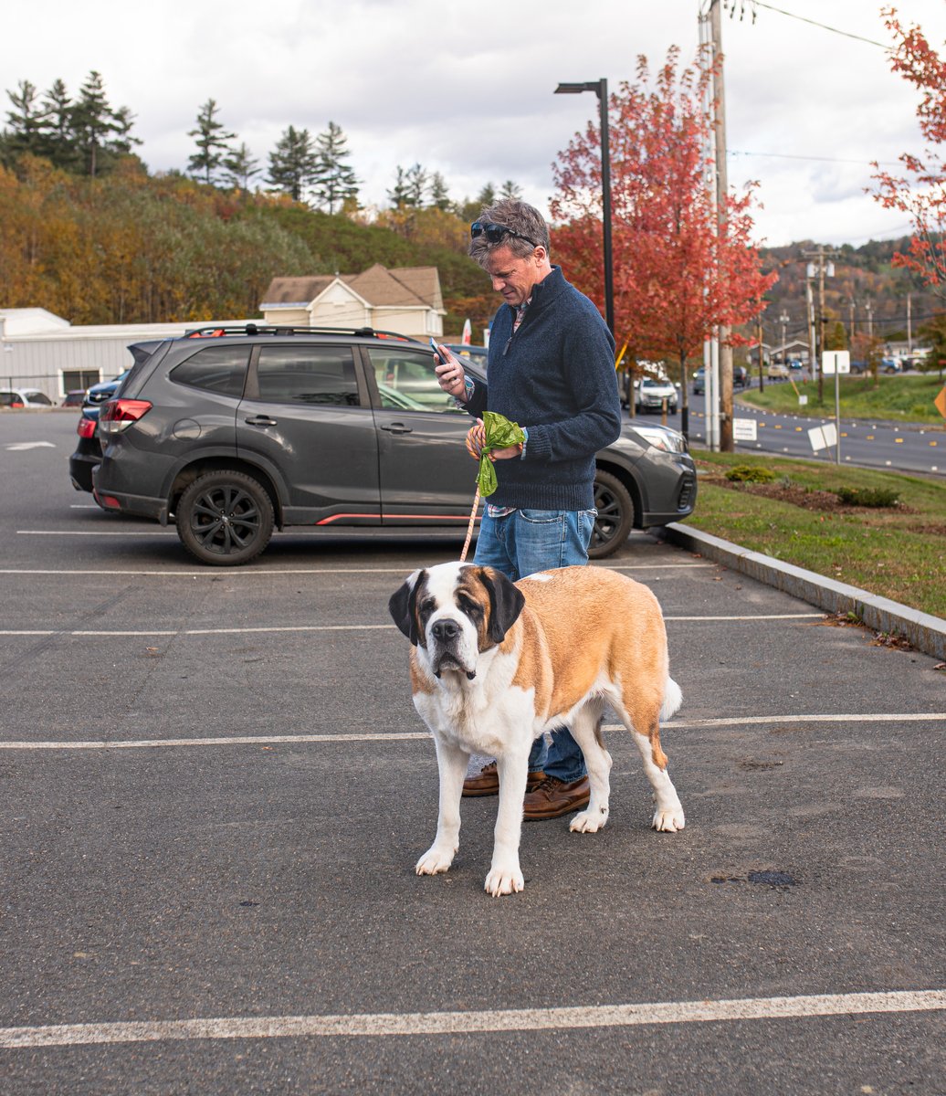 fotogosaurus's tweet photo. The Business Meeting https://t.co/v84Hqf6bnL #VT #Vermont #NewEngland #BusinessMeeting #StreetPhoto #StreetPhotography #SaintBernard #Dog #DogsOfTwitter #DogsOfTheWorld #DogOfTheDay #DogWalk #InTheParkingLot #OnTheCall #Moment #Capture #think #reflect #Sigma #Canon #Family https://t.co/pdX033b1Wr