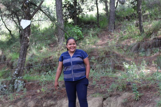 FLD Américas tweet media