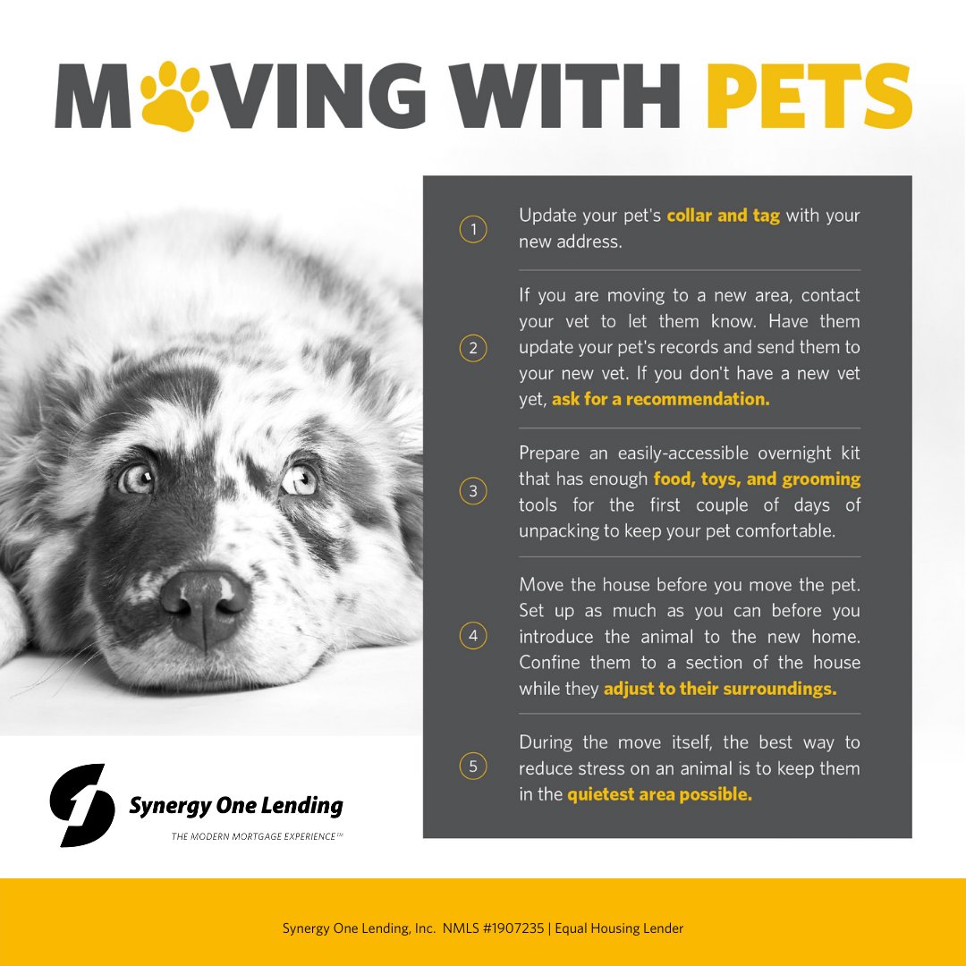 mcdowell717's tweet image. Moving with pets?  Here are some tips to make life and your move less stressful.  #movingwithpets  
 myoc.io/loanofficerric…