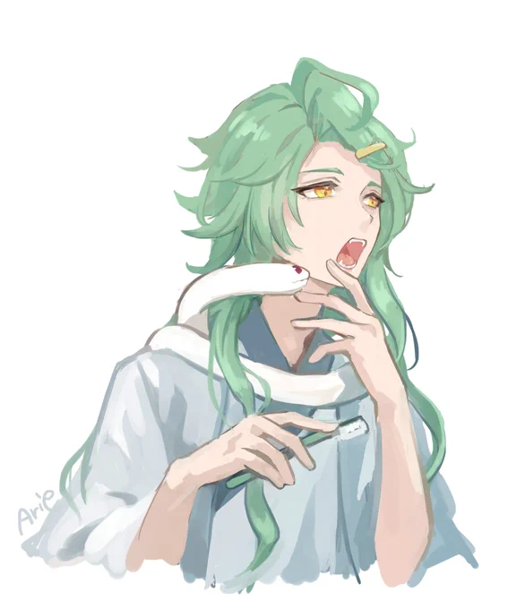 朝白朮。