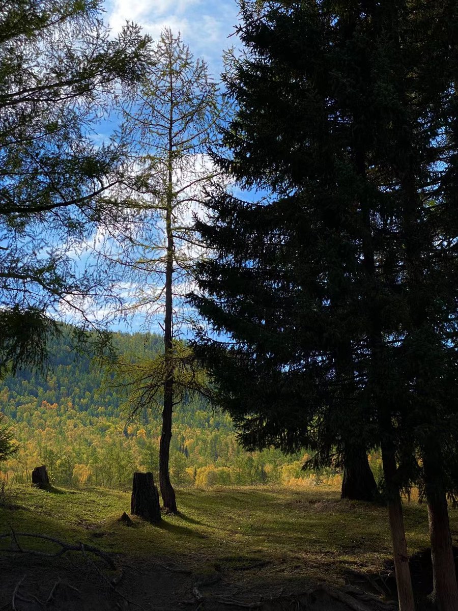 yivce (@zkaaaaaai1) on Twitter photo 