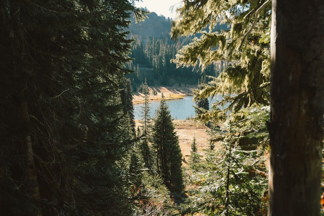 Josh_Hild's tweet photo. Mt Rainier hike in October https://t.co/ROnB0mfLoj