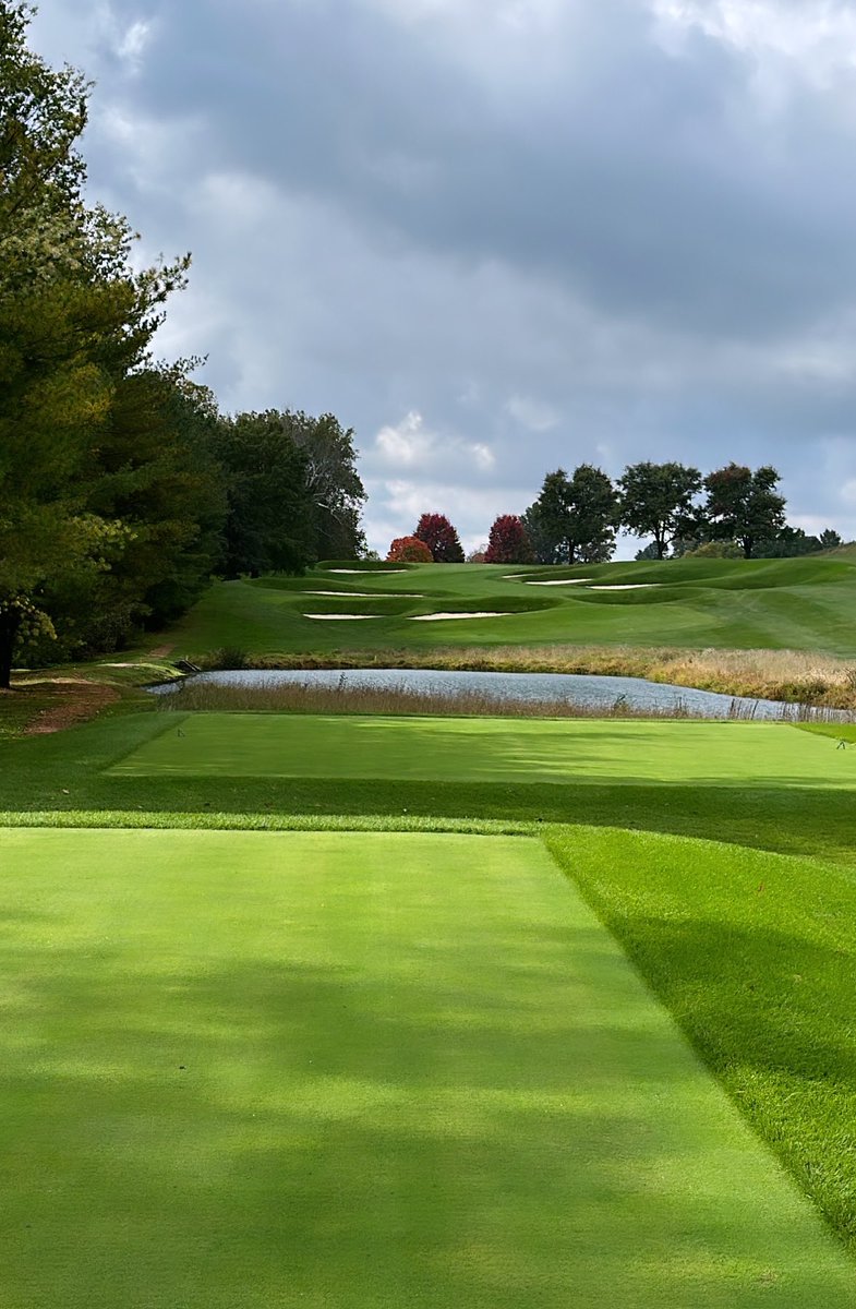 zackingleTurf tweet media