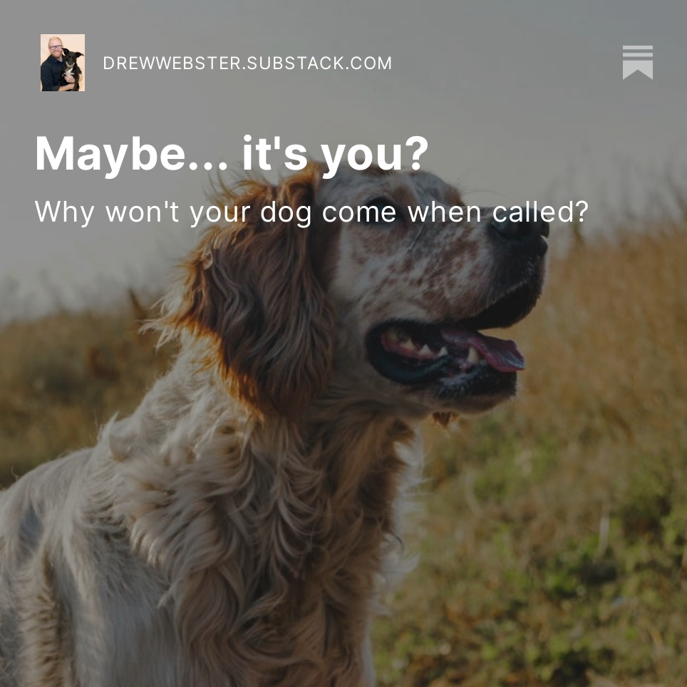 DoctrDrewlittle's tweet photo. Want your dog to come to you the 1st time you call? https://t.co/X5nao2tHWc https://t.co/3kmYCHRM1N