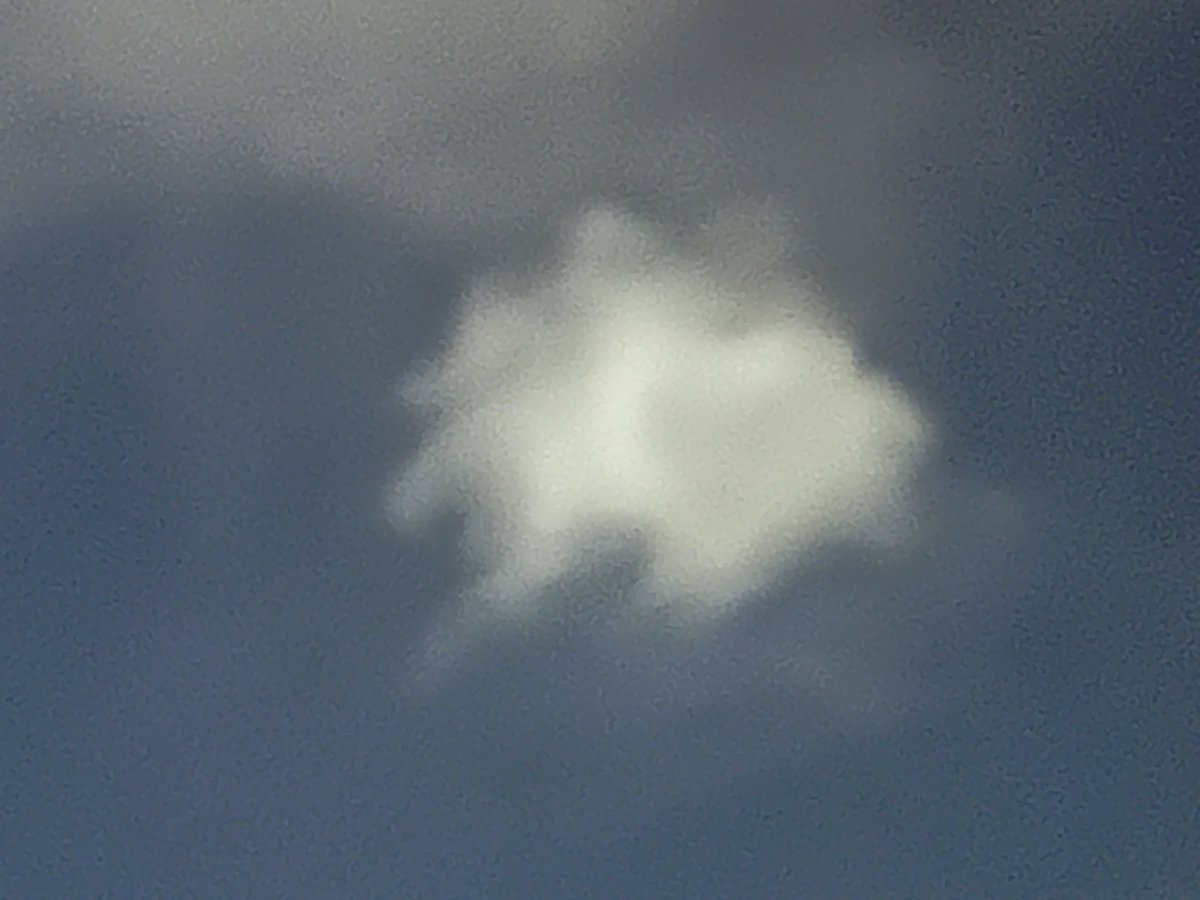 deanbrannagan's tweet photo. Just saw this cloud in the sky I thought it looked like a dog so I took a picture of it but the picture doesn’t look anything like a dog I just don’t know what’s real anymore https://t.co/ZRVL1VKTK8