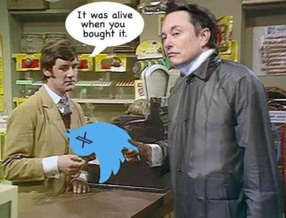 Anna Ardin 🎯 (@annaardin) on Twitter photo 