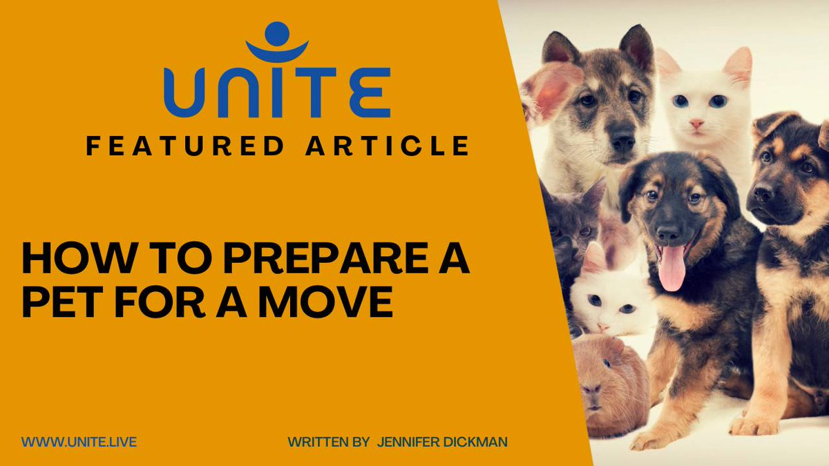 DiscoverUnite's tweet image. Moving with your furry friend? 🏡🐾 Discover tips to make the transition smoother for your pet in Jennifer Dickman's latest blog. Find out how simple animal communication skills can ease the process. Read now! 👉 #PetMove #AnimalCommunication #SmoothTransition