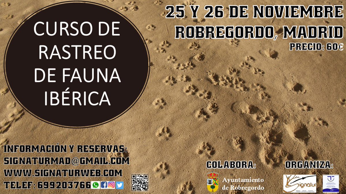 ¡Descubre el fascinante mundo de la fauna ibérica!

Nuestro curso de rastreo te enseñará las técnicas más avanzadas para identificar huellas, rastros y hábitats de las especies autóctonas. 

¡Únete a nosotros y conviértete en un experto en rastreo de fauna ibérica!