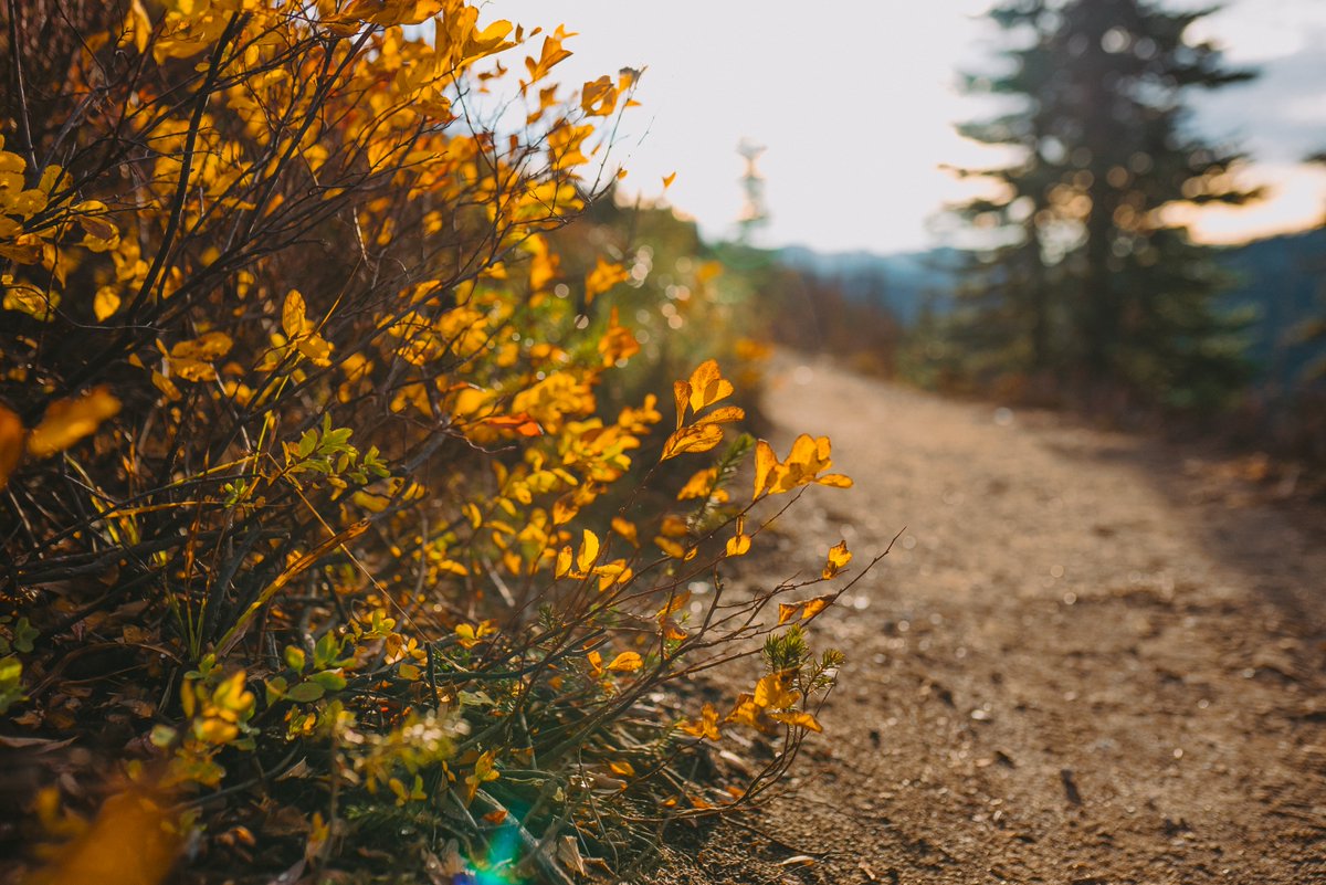 Josh_Hild's tweet photo. Mt Rainier hike in October https://t.co/ROnB0mfLoj