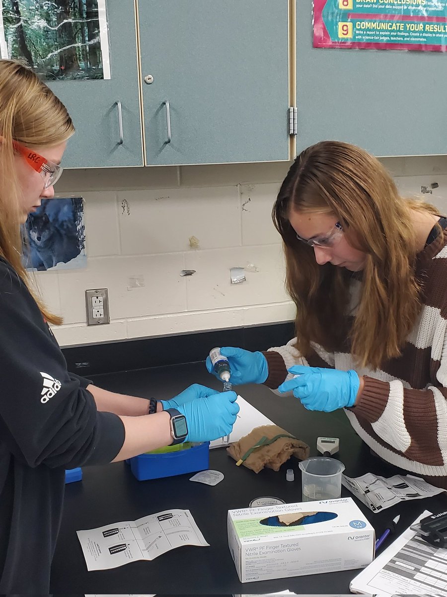 #APES students determined the quality of a local stream with chemical testing this week! <a href="/NPHS_Science/">NPHS Science Team</a> <a href="/VoelzJames/">New Palestine High School</a>