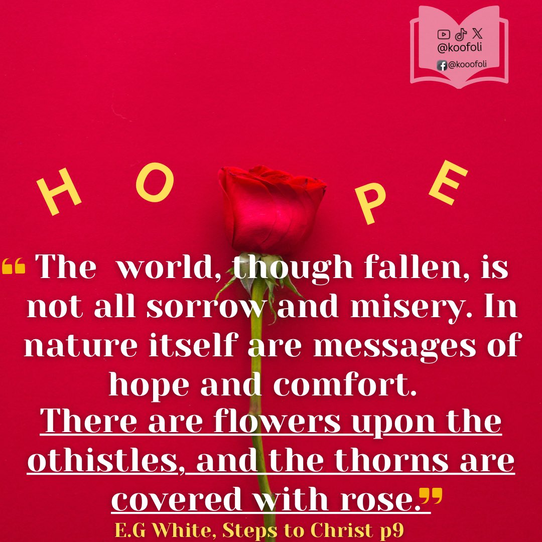 koofoli's tweet image. #HappySabbath