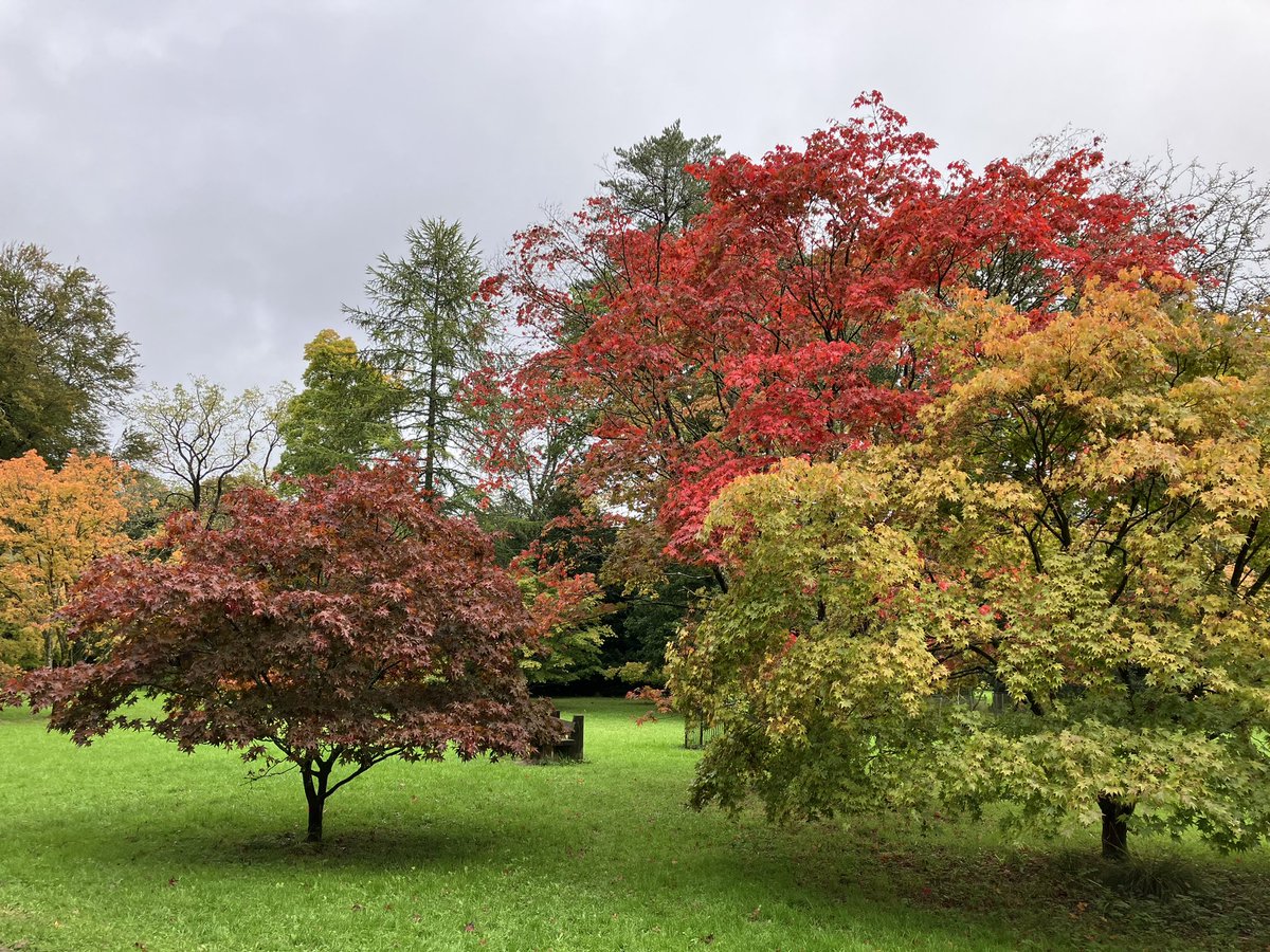 CranleyG68's tweet photo. Autumn picture #TheOneShow https://t.co/KYzbEpweAy