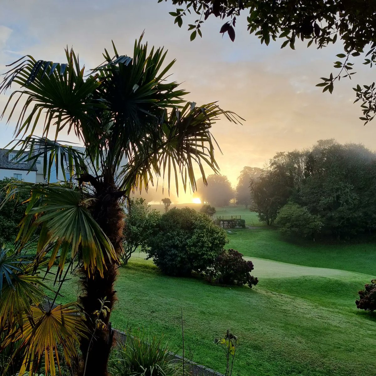DannyKonik's tweet photo. A beautiful Autumn morning in the gardens today. 😊🍁🍂
#gardens #gardening #headgardener #budockveanhotel #helfordriver #autumn https://t.co/nCMlpISm4a