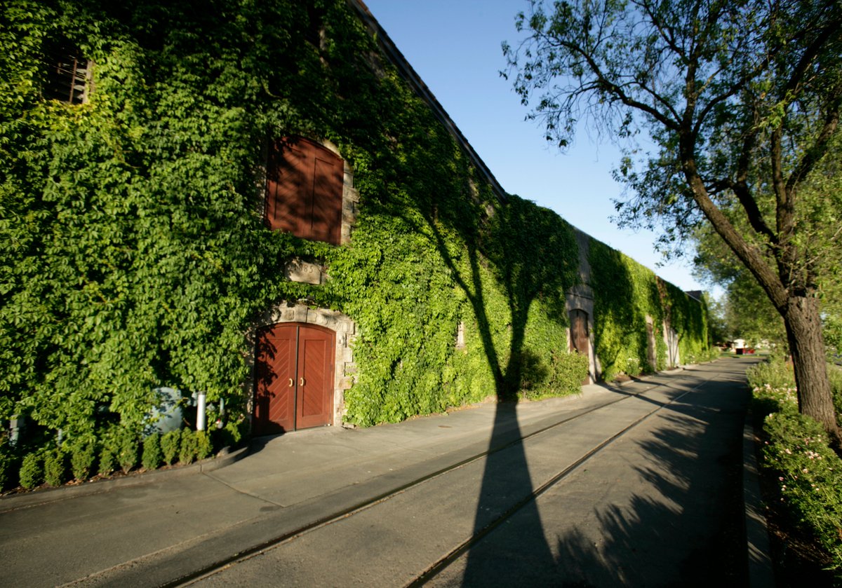 Now at #NewYorkWineExperience, great quality meets great value! It's time for a special presentation about the 2022 Wine Value of the Year, Beaulieu Vineyard Cabernet Sauvignon Napa Valley 2019!

pc: Courtesy of Beaulieu Vineyard

#NewYork #NYWE #NYWE2023 #NYC #Napa #Cabernet