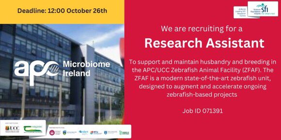 Last week to apply for the Zebrafish RA position here at @Pharmabiotic @UCC ! 🐟🦠🧠
#ZebrafishJobs #microbiome #Science #research 
#jobFairy #Unijobs