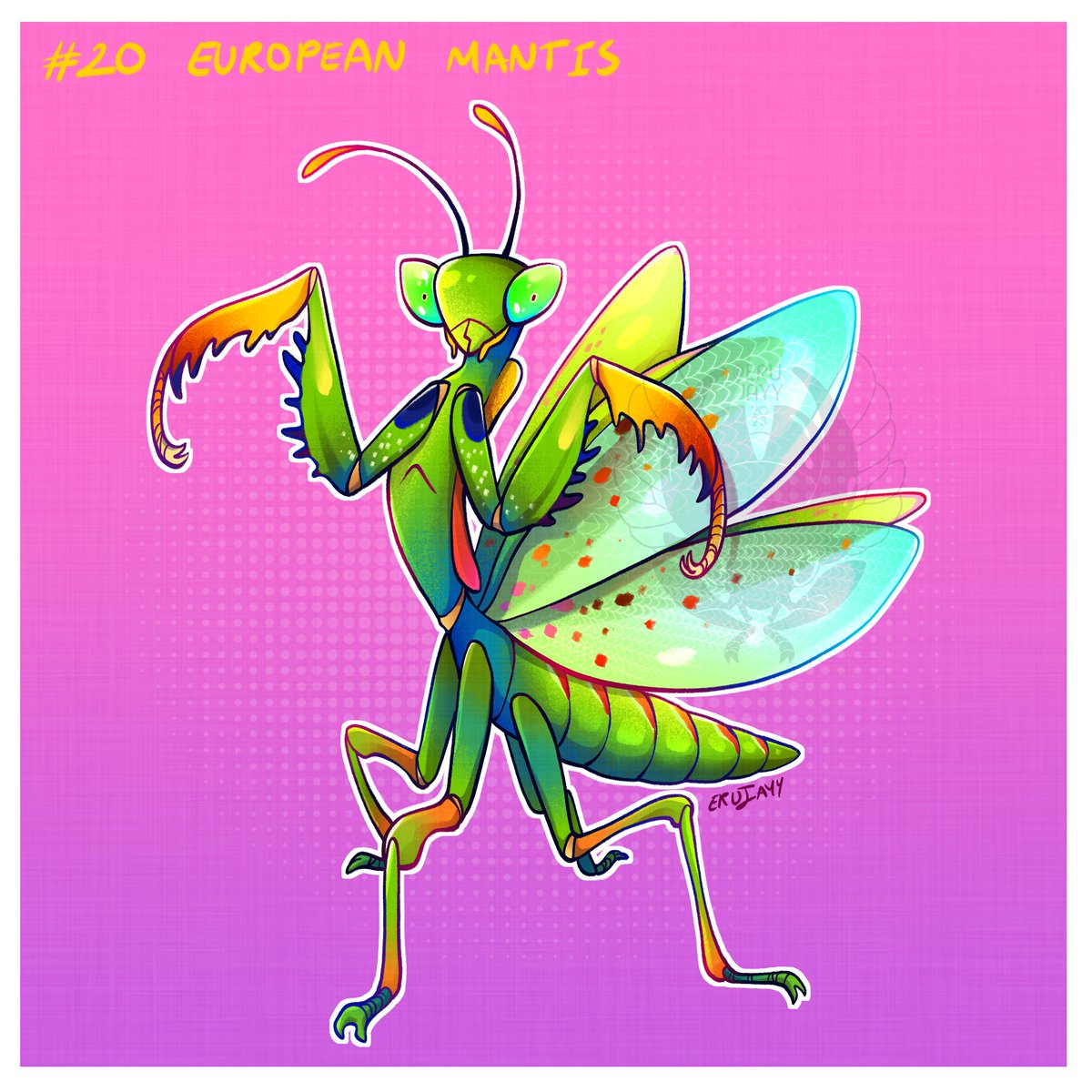 erujayy's tweet image. Day 20: European praying mantis

#invertober2023 #bugart