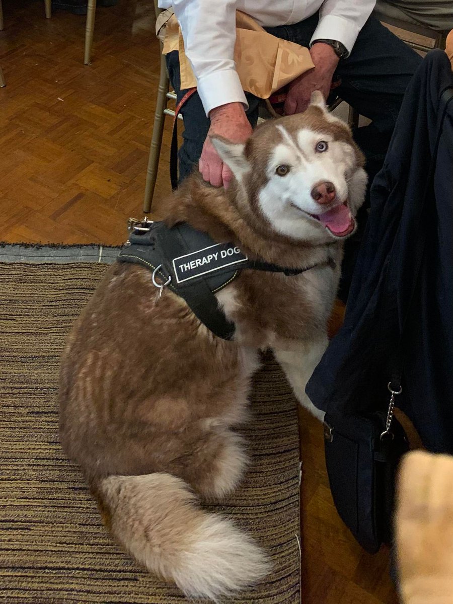 Congratulations to our incredible volunteers, Mike &amp; Kaeko, on winning the Mary Smithson Compassion &amp;  Companionship Award at the <a href="/cityofhamilton/">City of Hamilton</a>'s 28th Annual Senior of the Year Awards. This dynamic duo has been bringing comfort &amp; smiles to our travellers for over 5 years. ☺️✈️