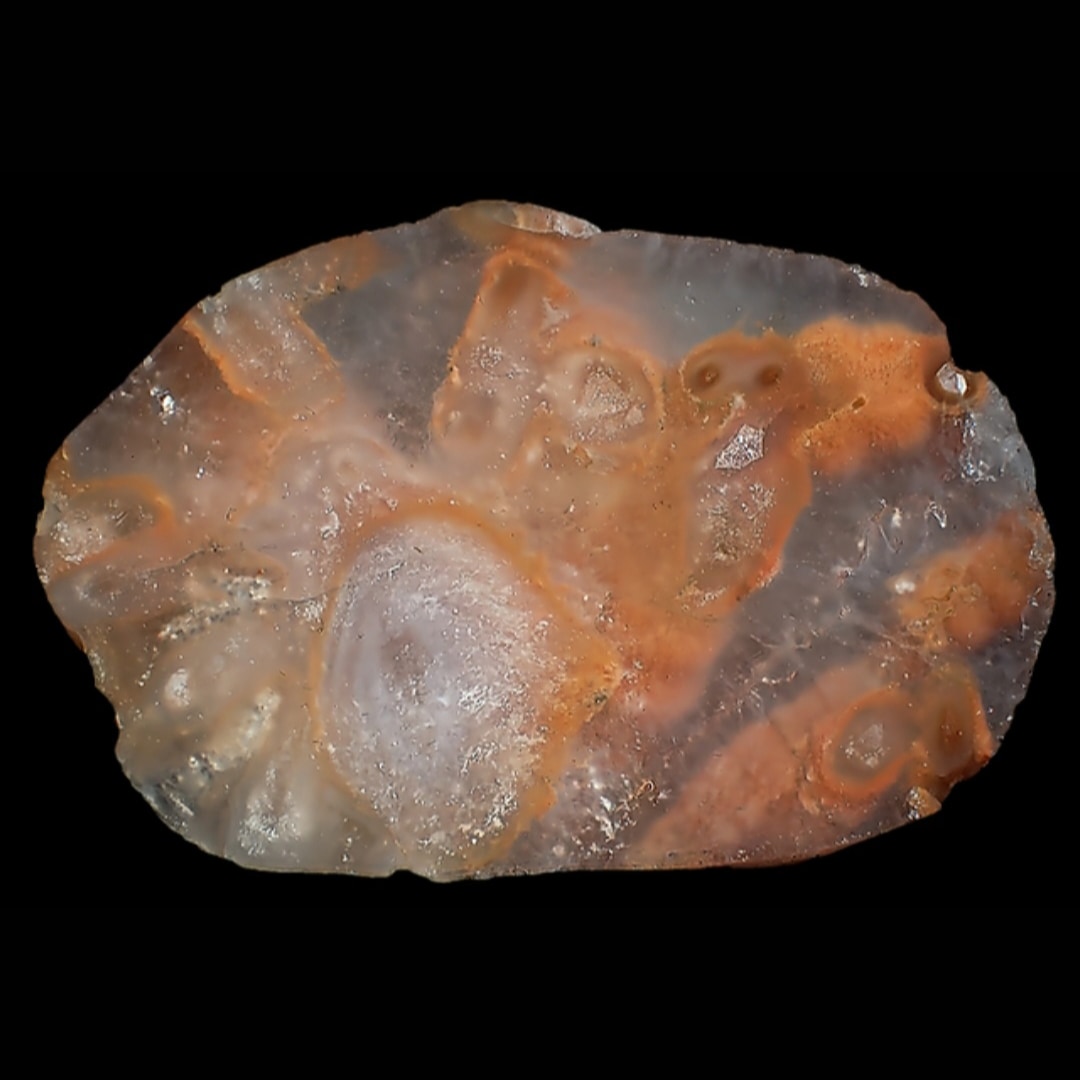 Another macabre Angus piece 51mm/34mm