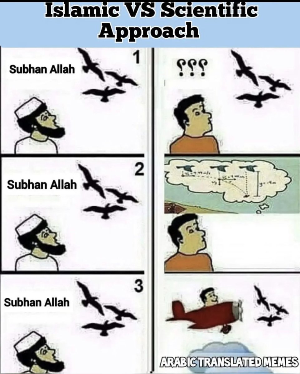 exmuslim_norway's tweet photo. Islam claimed through the Quran that bird flying is a miracle of Allah and that Allah holds the birds up in the sky.

"Do they not look at the birds, held poised in the midst of (the air and) the sky? Nothing holds them up but (the power of) Allah. Verily in this are signs for those who believe" 
Quran 16:79 

Today, engineers and scientists are well aware of the aerodynamic properties of a bird's wing. It functions by creating a difference in the air pressure between the lower and upper part of the wing and this creates lift that pushes the bird upward. The wings of birds evolved over millions of years to acquire this feature.

The author of the Qur'an, however, is unaware of these scientific details and says that 'nothing' holds up the bird except the miraculous power of Allah.

Looking at birds and simply saying "Subhan Allah" translates Amazing Allah in praising it as a miracle for 1430 years did not get us to fly. It is those who saw it as nothing but a natural process are able to study it and recreate it. Proving again, no miracle here and another scientific error in the Quran!

For more scientific errors in the Quran, check out these:

https://t.co/bOm9RwUist

https://t.co/Uepm0c3vmH…

https://t.co/8Z0RKYnlvy