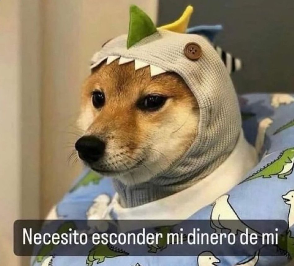 elespacioviral's tweet photo. Cuando me depositan el sueldo y ya empiezo a gastarlo https://t.co/Yd4jdFFF49