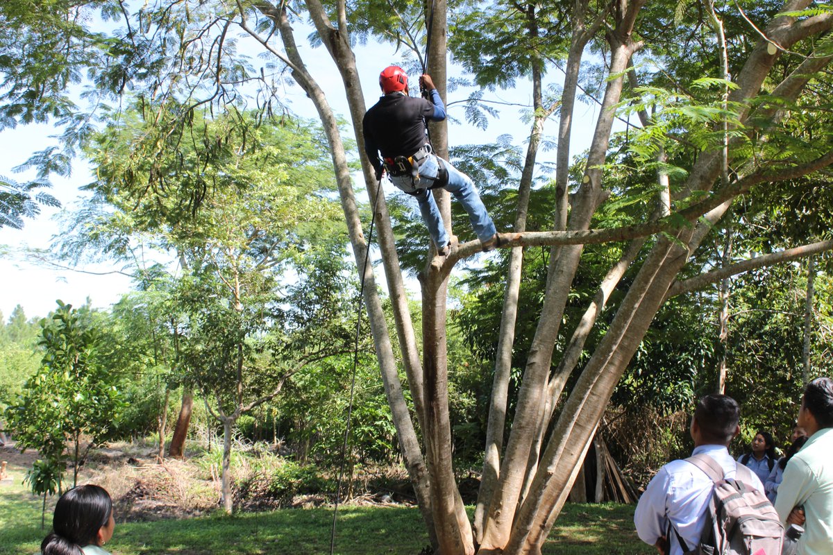 TItsvc's tweet image. El día 19 de octubre del presente año, se realizó la práctica “Trepa de árboles, principios básicos” dirigido a los estudiantes de la Ingeniería Forestal

#IFOR
Únete a nosotros, únete a #Pericostec