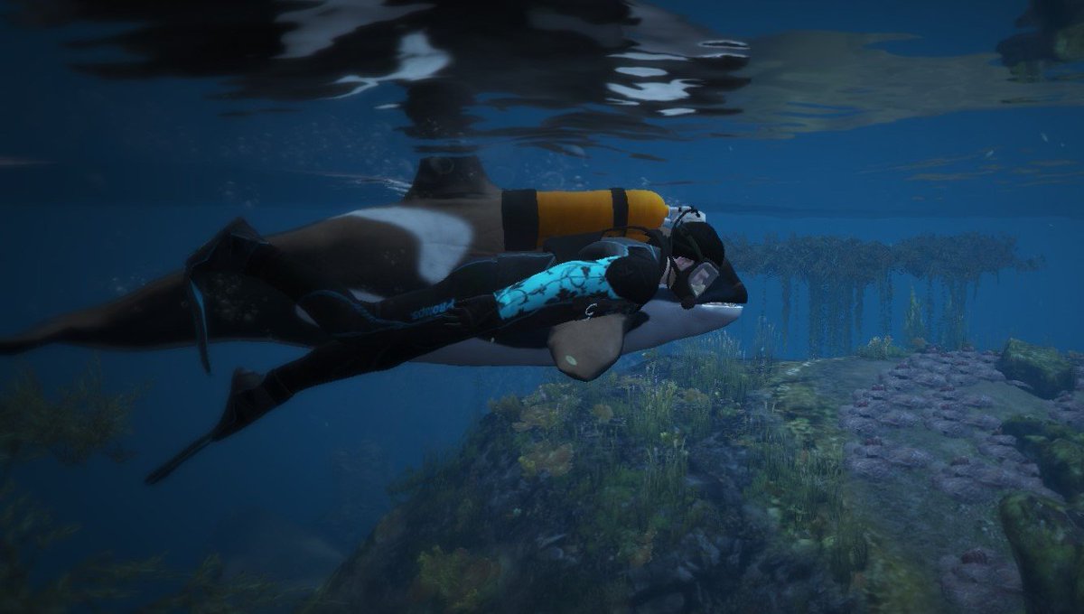 Jackals_RP's tweet photo. What's more majestic than swimming with the whales? 
Join Jackals RP today!!
https://t.co/kQEO6dMVu6

#gta5 #gtav #GTA5RP #GTAVRP #GTA5RolePlay #GTAVRolePlay #Fivem #FivemRolePlay #Gaming @GTARPServers https://t.co/jW1s3eSDGq