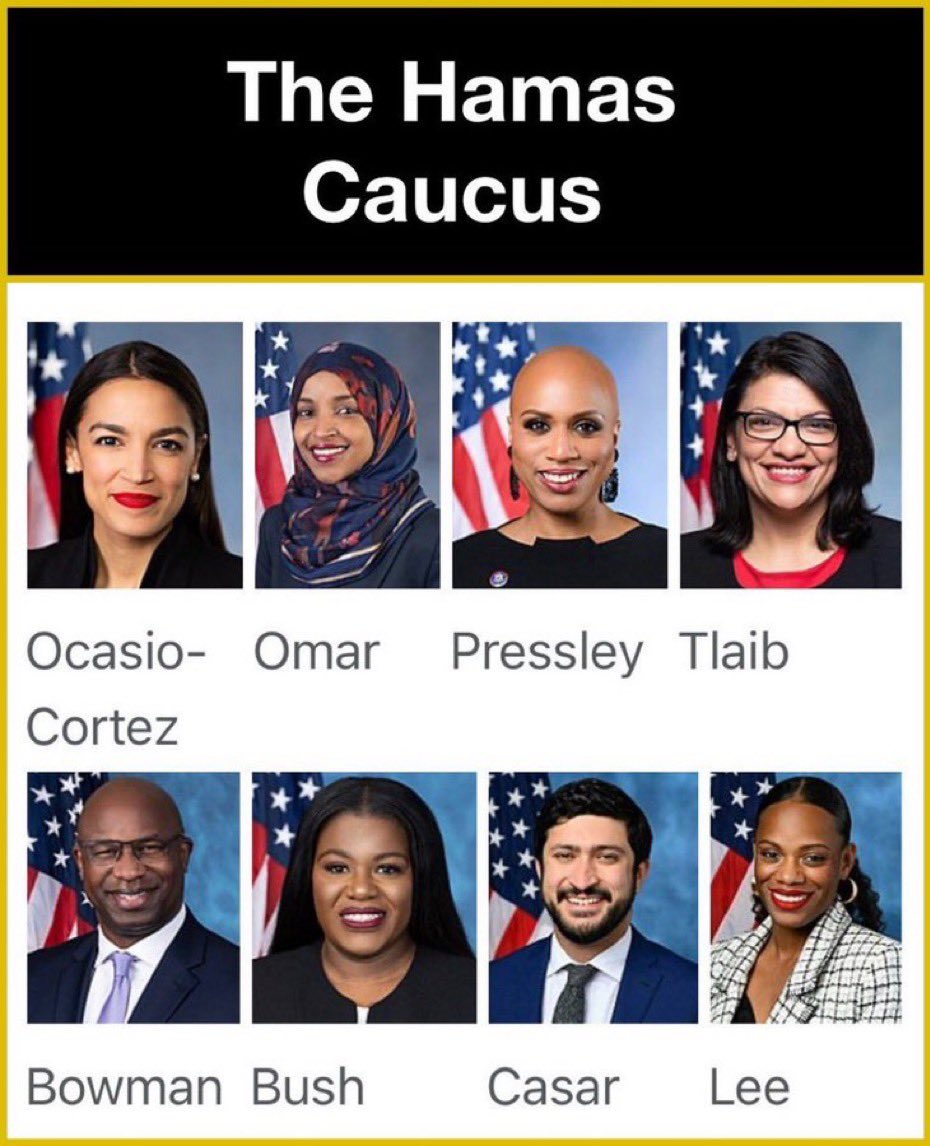 @AOC AOC served 2 terms in congress and her purpose is supporting Hamas along with her friends.