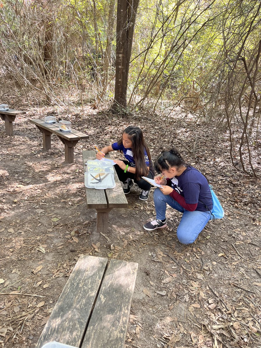 Laura Segura, M. Ed. (@mssegura3rd) on Twitter photo Nature Trails is always one of my favorite days!!! <a href="/CFISDHolmsley/">Holmsley Elementary</a> <a href="/CyFairISD/">Cypress-Fairbanks ISD</a> #ScienceIsCool Nature Trails is always one of my favorite days!!! <a href="/CFISDHolmsley/">Holmsley Elementary</a> <a href="/CyFairISD/">Cypress-Fairbanks ISD</a> #ScienceIsCool