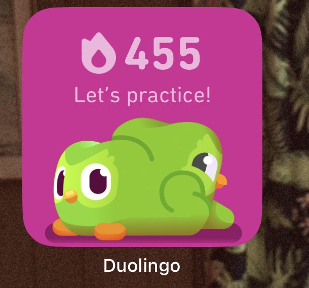 NickNationCave's tweet photo. @duolingo I need to ask what is even this https://t.co/QGjGpwkQbn