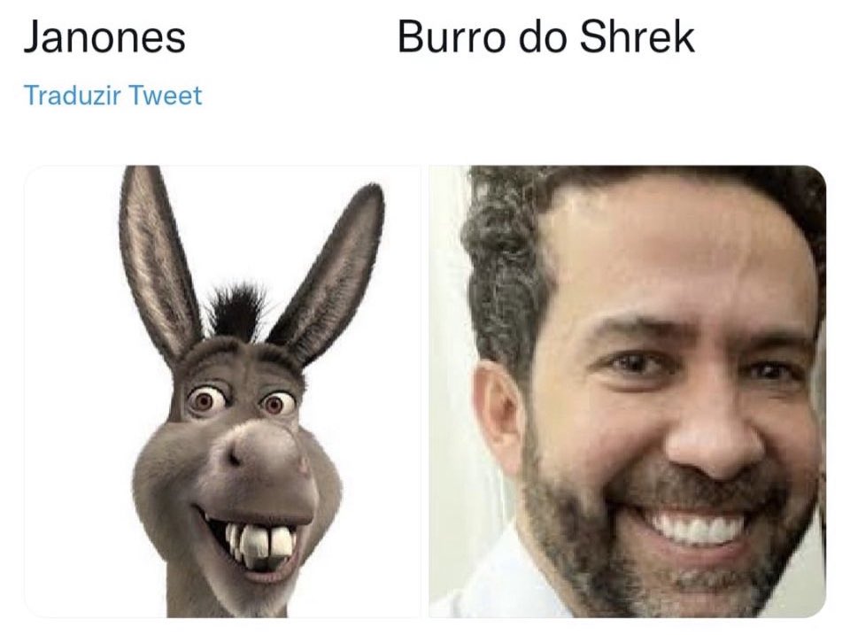 burro e shrek meme