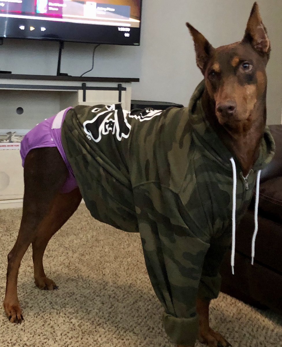 Aaron Leming tweet media