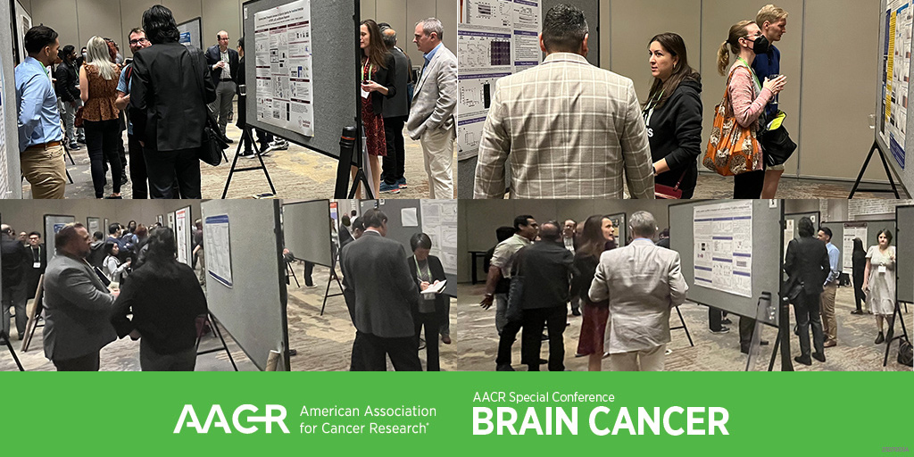AACR's tweet photo. Poster presenters shared their work with attendees Friday evening during the AACR Special Conference on Brain Cancer. The meeting continues through Sunday in Minneapolis. #AACRbrain23 https://t.co/fQGRTLyf0v