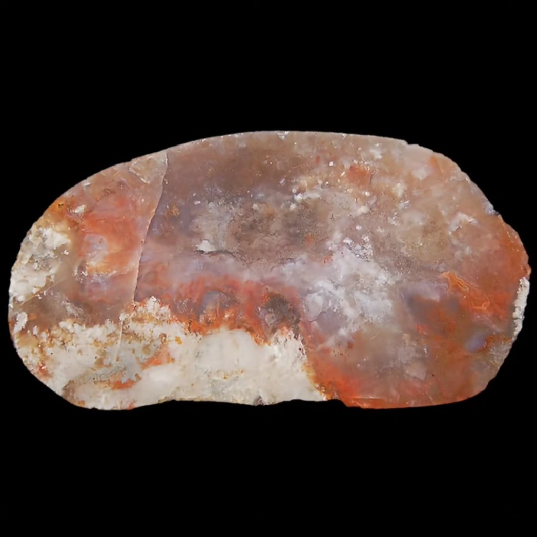 Macabre Angus piece 57mm/30mm (both halves)