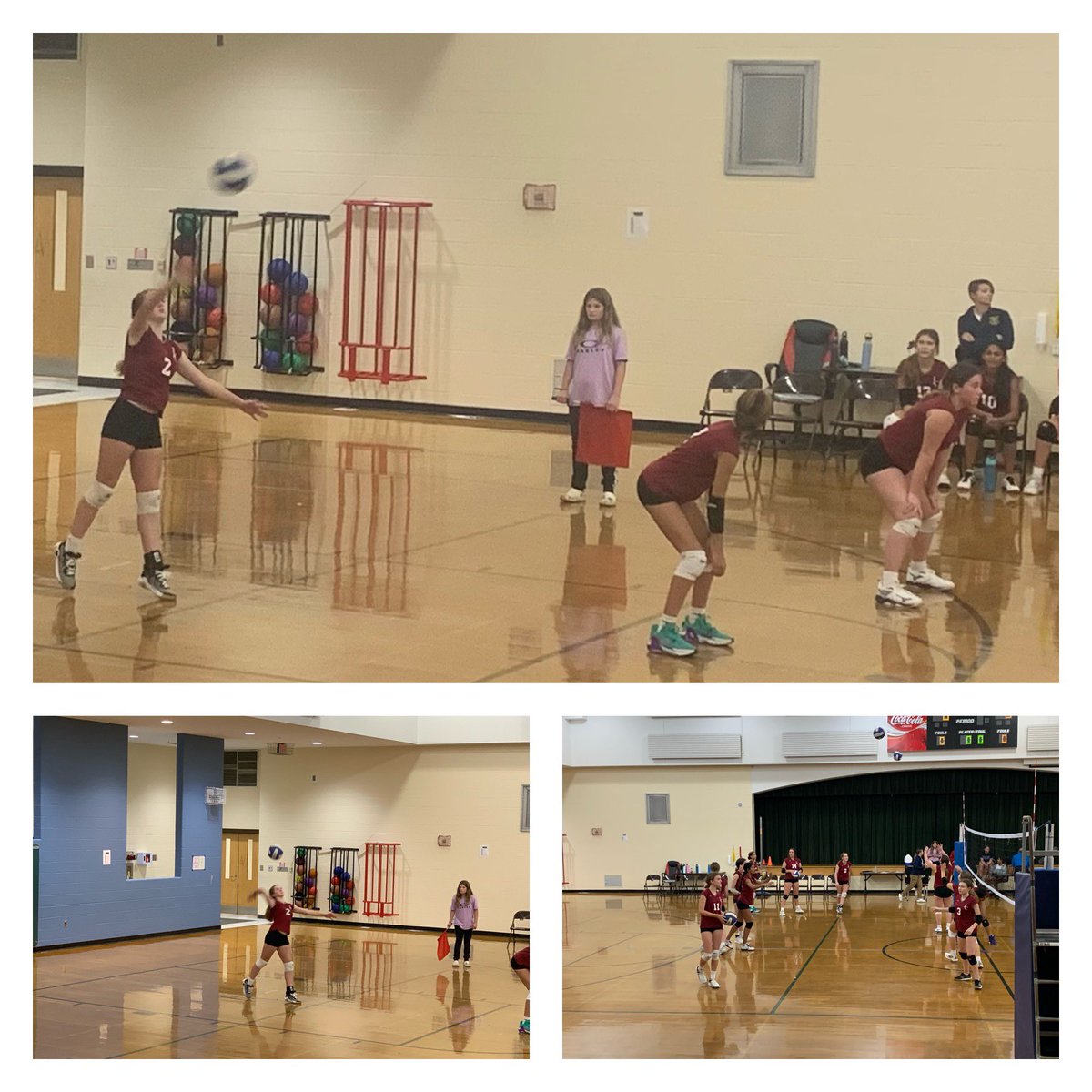 Andrea Turner tweet media