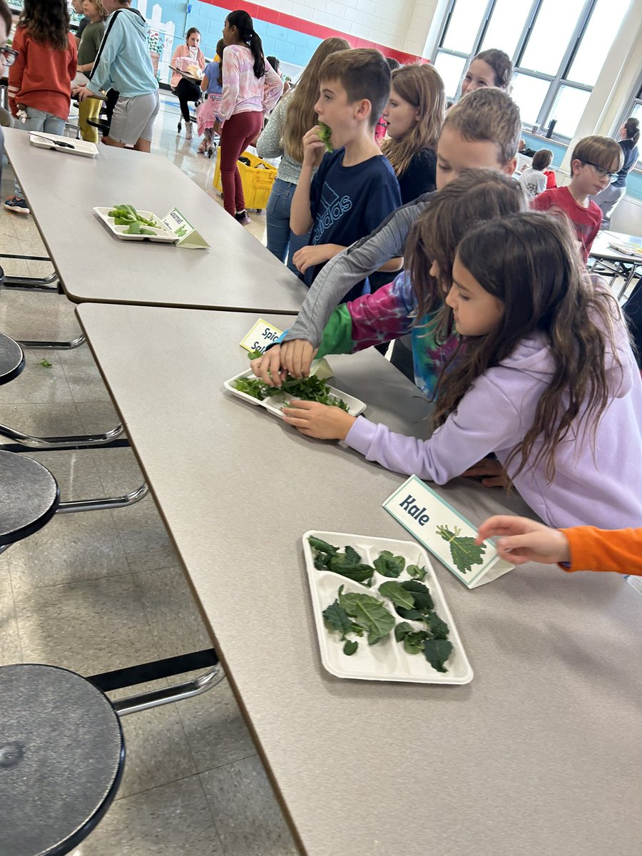 Today was taste test day in 4th grade. We sampled home grown lettuce from our Hydroponic Tower. Thank you <a href="/SJ_Schools/">Sustainable Jersey for Schools</a> and <a href="/PSEGdelivers/">PSE&G</a> for making this possible! #GreenTeamInitiative <a href="/techedteachr/">Chris Truncale</a> @KWolffFRSD <a href="/BarleySheafFRSD/">Barley Sheaf</a> <a href="/FlemRarSchools/">FlemRarSchools</a>