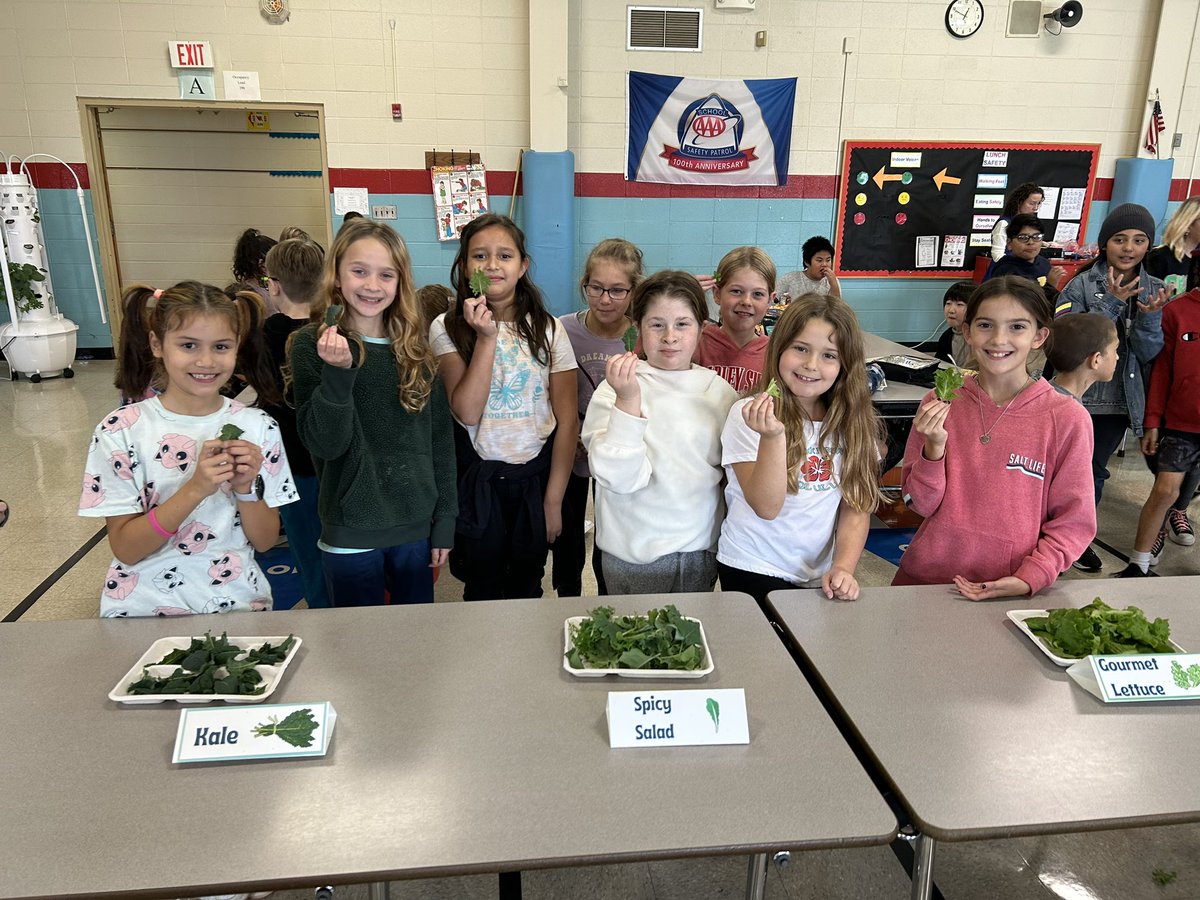 MrsSchrum's tweet photo. Today was taste test day in 4th grade. We sampled home grown lettuce from our Hydroponic Tower. Thank you @SJ_Schools and @PSEGdelivers for making this possible! #GreenTeamInitiative @techedteachr @KWolffFRSD @BarleySheafFRSD @FlemRarSchools https://t.co/JdlO2maD1o