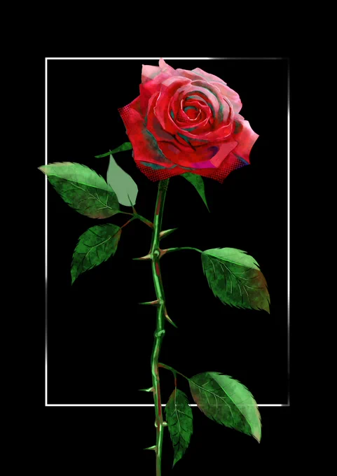 #薔薇 