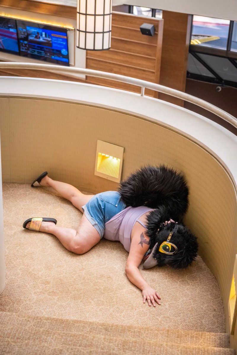 beakybirds's tweet photo. What's your favorite thing to do at a con? 

I like to sleep. 💤 
📸 @VenturaOsprey #fursuitfriday #furrydelphia #fd2023 https://t.co/JtixeRzWJi