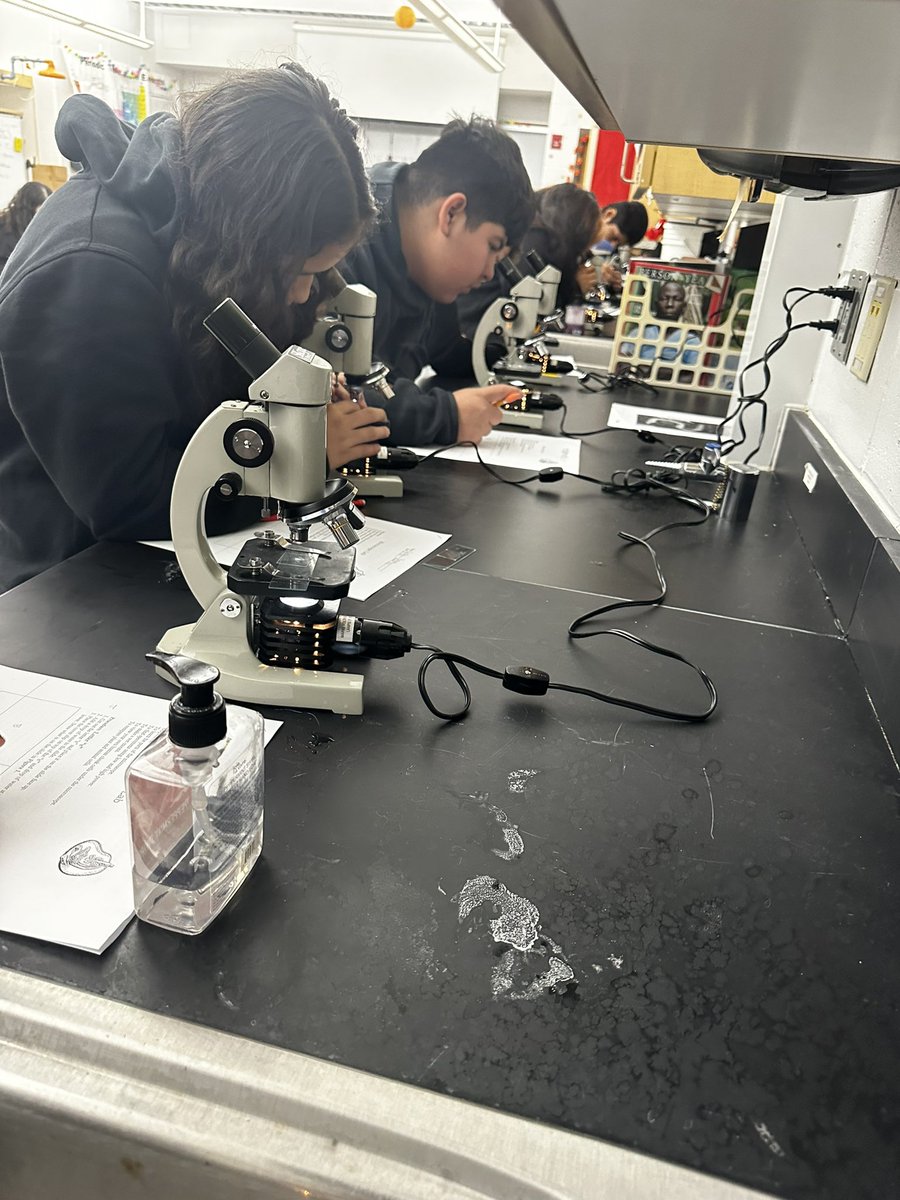 Candice Bidner tweet media