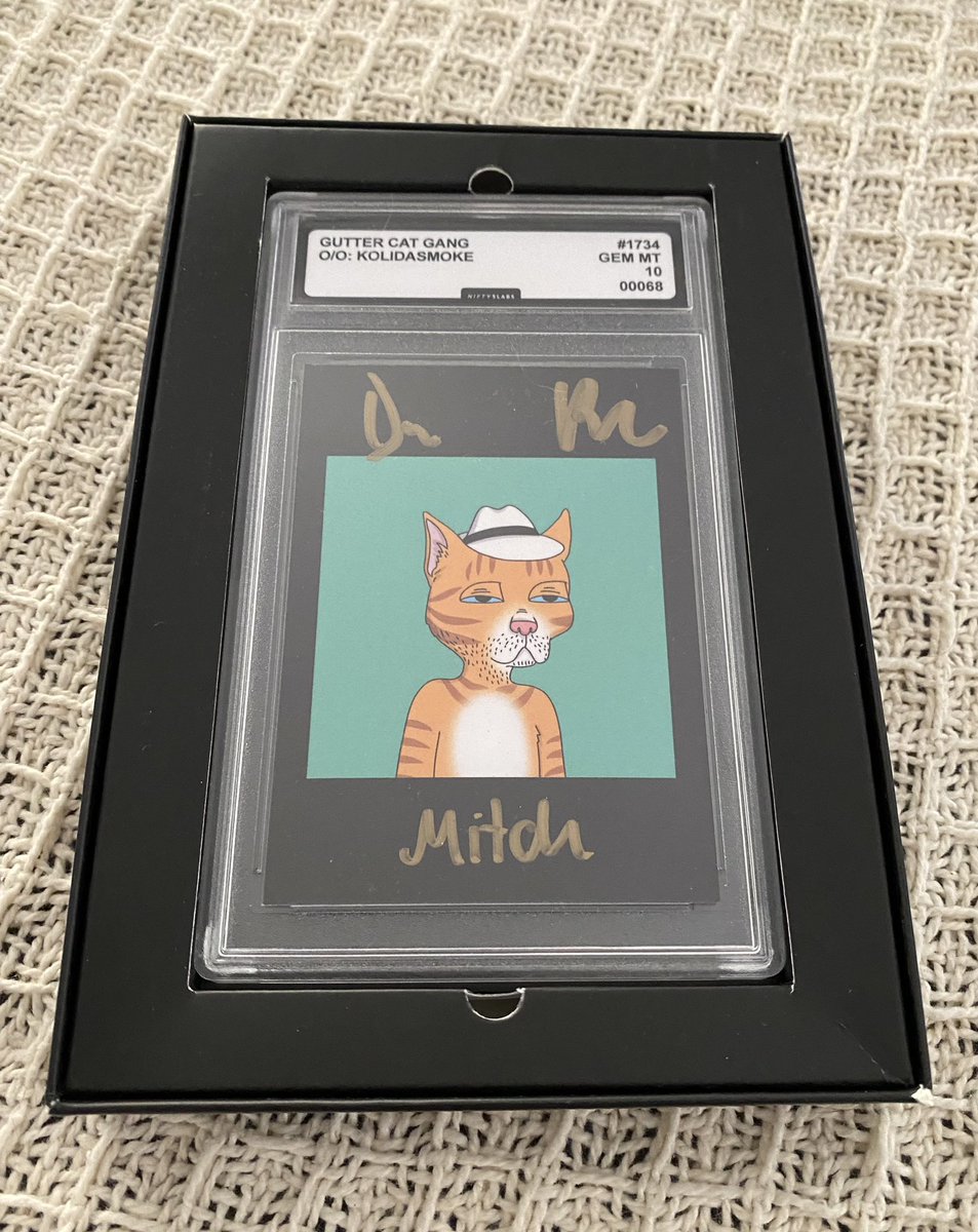 Since day one!! Let’s go!!! <a href="/mauloadream/">Noah</a> <a href="/GutterCatGang/">Gutter Cat Gang</a>