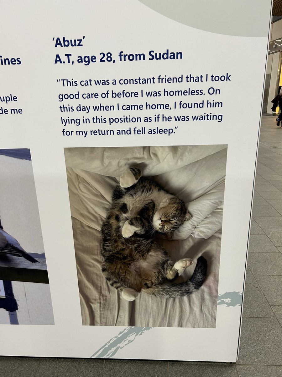 RSPCA East London and Havering Branch tweet media