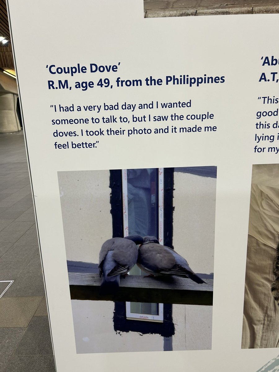 RSPCA East London and Havering Branch tweet media