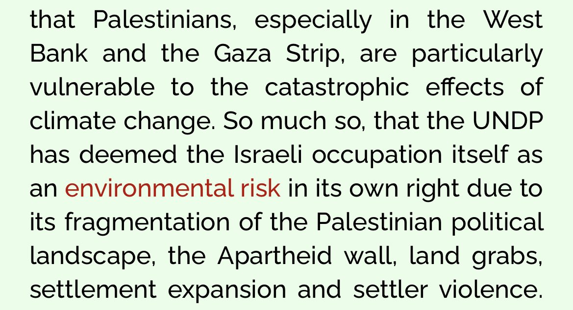 DecolonizePalestine tweet media