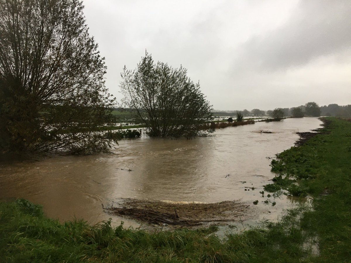 R Bain downstream from Shearmans Wath bridge at 5pm this afternoon.