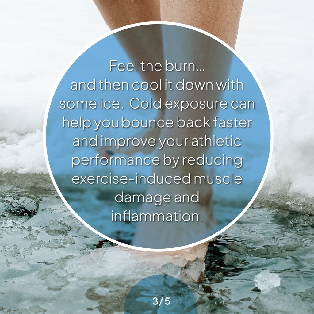 Chill out, folks! ❄️❄️

From ice baths to mood boosts, it's time to dive into the science of cold exposure. Swipe to discover how cold exposure gives your circulatory system the ultimate chill.

#StayCool #ColdTherapy #CoolAsaCucumber
