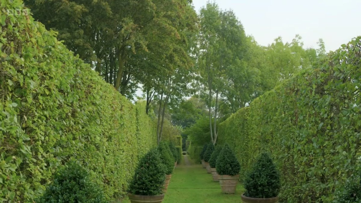 FMLdizzyAF's tweet image. Monty’s garden has some stunning areas #GardenersWorld