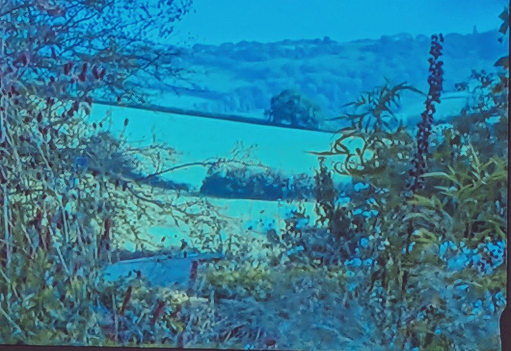 Heat generated by #plasticgrass & microplastics #runoff all bad @GWandShows
Spending time in natural surroundings is better for us

Microbial soup eg communities of flowers & plants  💚🌻🌺are MUCH  better for us, we breathe them in regulating our gut, hormones & mental health