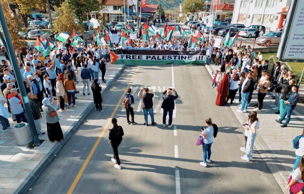 CanovicNihad's tweet photo. PLAV I GUSINJE SU UZ PALESTINU 

Proteklih dana smo svjedočili užasnim događajima usljed kojih je stradao veliki broj djece, žena-civila. Naša je moralna i ljudska obv. da iskažemo saosjećanje sa žrtvama i njihovim porod. sa obje strane, bez obzira koje nacionalnosti i vjere bili https://t.co/RNnZf7r7vk