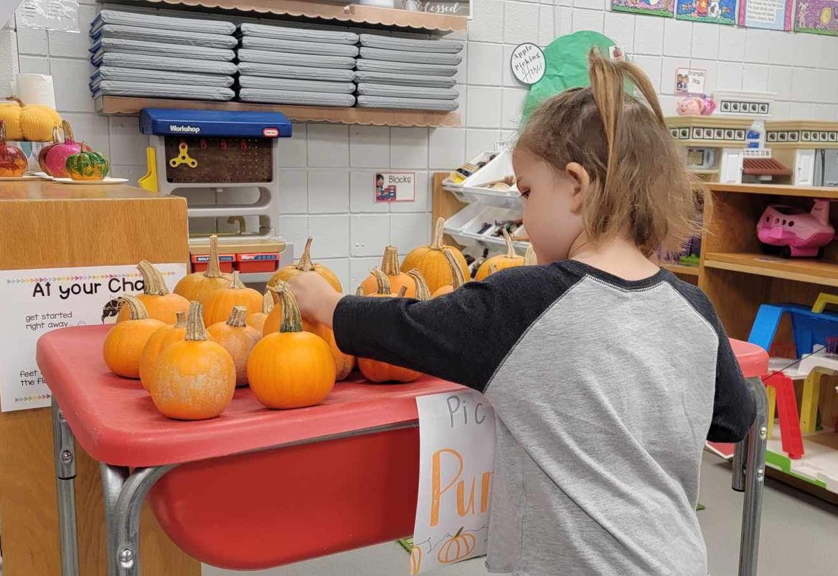 MPreschoolers's tweet photo. Decisions, Decisions π€π€ Which pumpkin will be the best??
Students took turns picking their favorite pumpkins then enjoyed painting them this week at school! π #pumpkinfun #littlezeps #gozeps #preschool #mstaylor https://t.co/GrvCyQUCdD